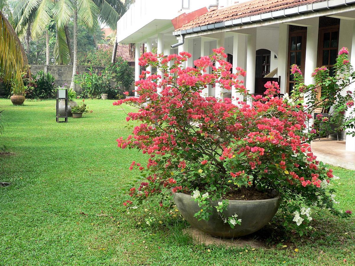 Gaestehaus Isabella Beruwala Ngoại thất bức ảnh